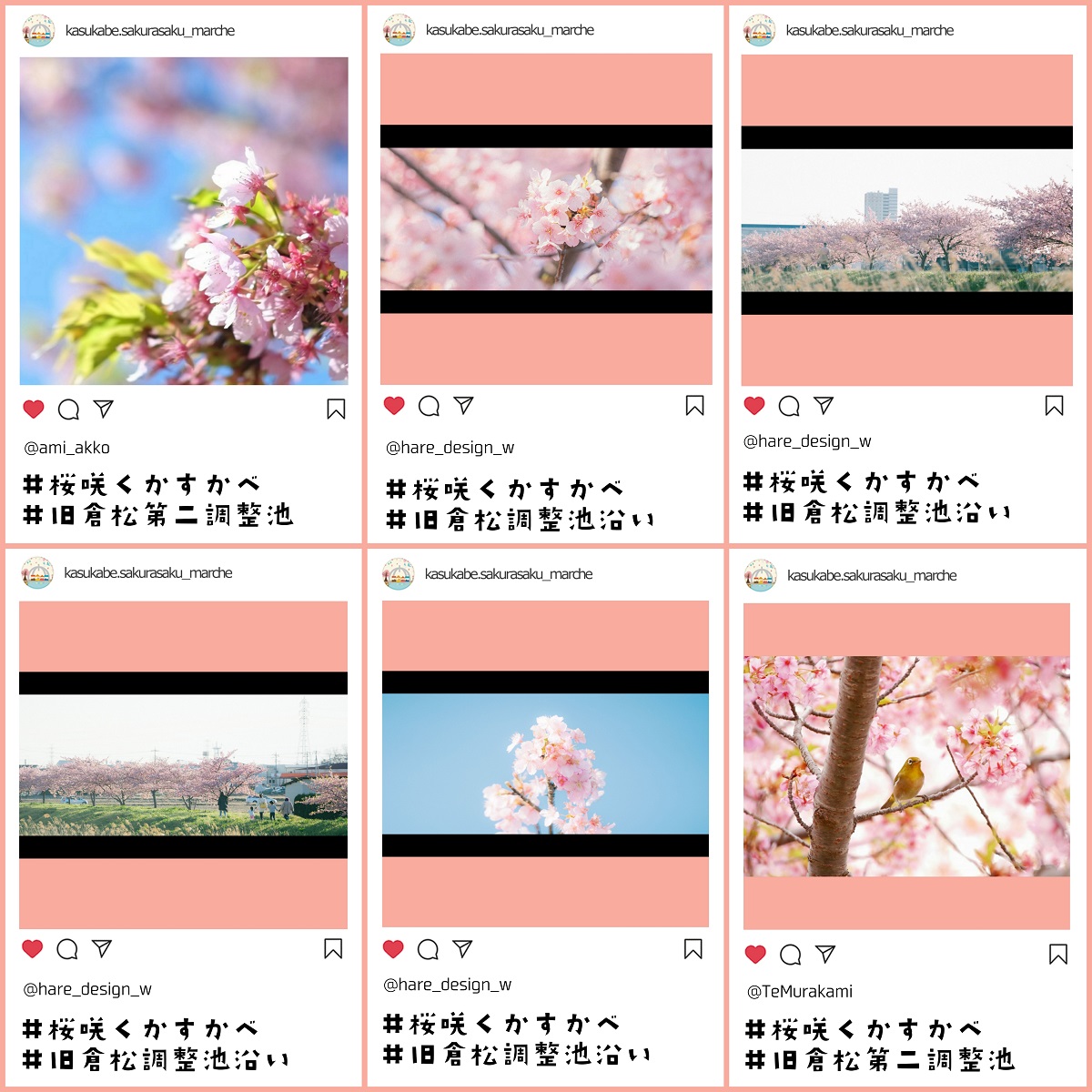春日部,旧倉松第二調整池,河津桜,桜