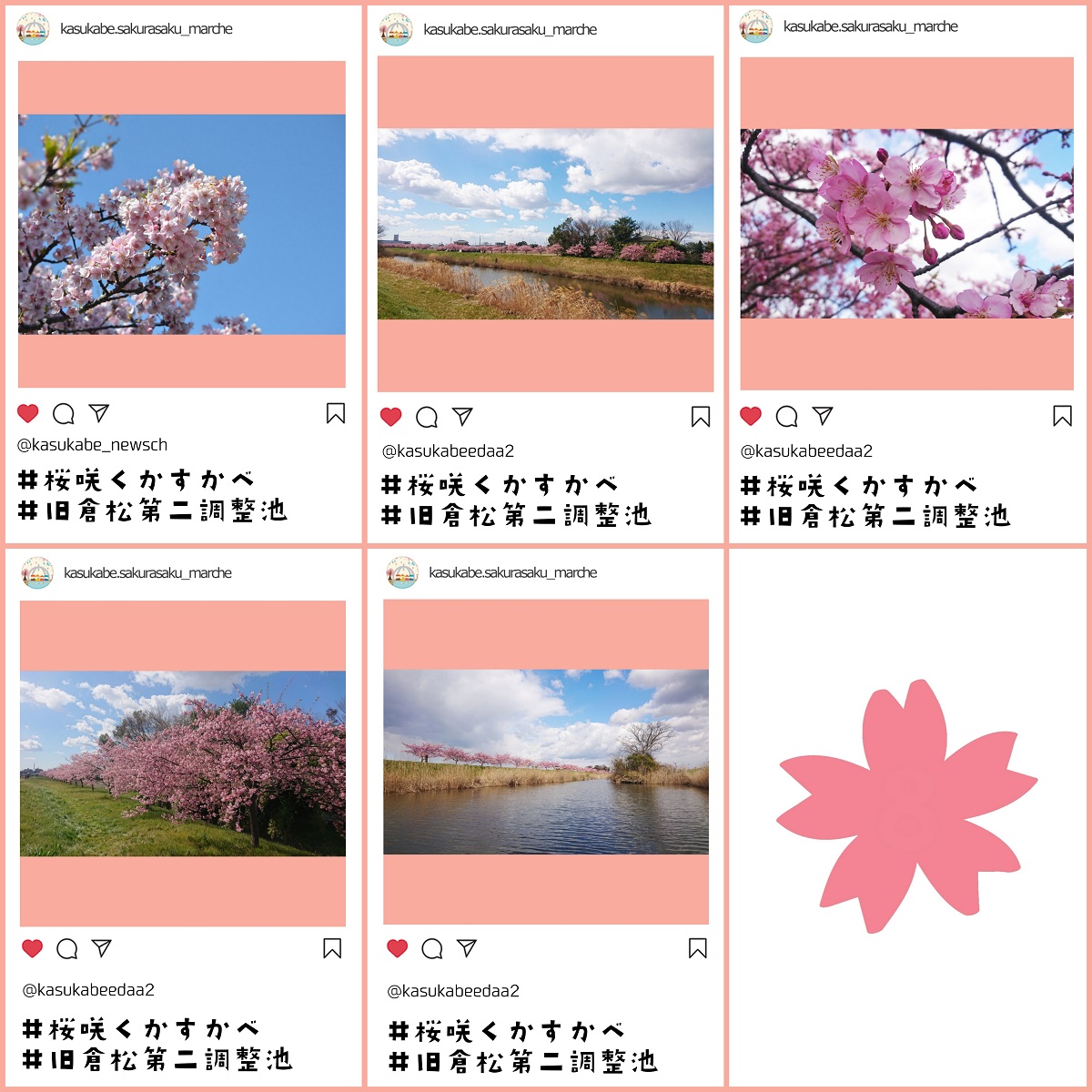 春日部,旧倉松第二調整池,河津桜,桜